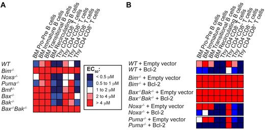 Figure 3. Bim plays an important role in the response to ABT-737. (A) Thymocytes and BM-derived B cells from wt, Bim−/−, Noxa−/−, Puma−/−, Bmf−/−, Bax−/−, Bak−/−, or Bax−/−Bak−/− mice were cultured in the absence or presence of increasing doses of ABT-737, and their viability determined after 24 hours. EC50 values are represented as a heat map. Blue represents sensitivity, and red, resistance. (B) The hematopoietic system of lethally irradiated mice was reconstituted with WT, Bim−/−, Noxa−/−, Puma−/−, or Bax−/−Bak−/− fetal liver cells retrovirally transduced with an empty vector or a vector encoding Bcl-2. Eight weeks after reconstitution, the viability of the resulting cells in response to treatment with several doses of ABT-737 was analyzed in culture as described in Figure 2; n = 3 mice per group, 3 independent experiments (except for Bax−/−Bak−/− n = 1 because of the difficulty to obtain viable animals). Values represent the mean of EC50 ± SEM, detailed in supplemental Table 2.