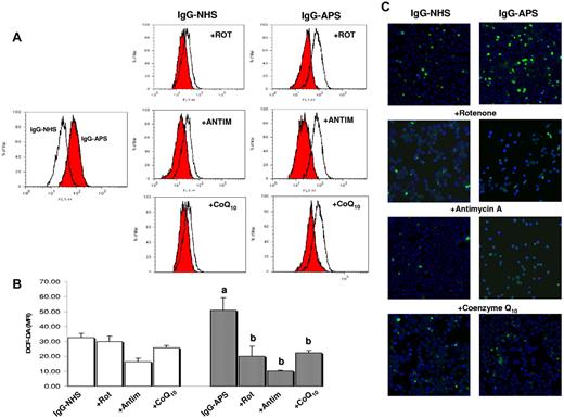 Figure 3. Effects of mitochondrial inhibitors and the mitochondrial cofactor CoQ10 on IgG-APS–induced generation of peroxides. (A) Cells were preincubated with rotenone (Rot) or antimicin A (Antim) for 1 hour, or with CoQ10 for 24 hours, washed, and then stimulated with IgG-APS or IgG-NHS in the presence of the drugs. This figure shows representative flow cytometry histograms of DCF-DA fluorescence for each group of treatment. (B) Bar graph represents the mean of MFI ± SEM of 4 independent experiments. Significant differences (at P < .05) versus monocytes treated with IgG-NHS– (a) and versus IgG-APS–treated cells (b). (C) Representative fluorescent photomicrographs of ROS production by monocytes stimulated as described in panel A. Images were acquired with an LSM 5 Exciter confocal microscope (Carl Zeiss), driven by ZEN 2008 software by exciting at 488 nm to detect the DCF-DA fluorescence, and at 405 nm for 4,6-diamidino-2-phenylindole fluorescence. Samples were viewed with a EC Plan-Neofluar 20×/0.50 numerical aperture objective.
