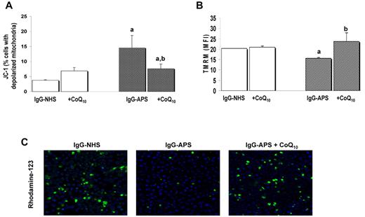 Figure 4. Effect of treatments with CoQ10 on monocytes mitochondrial dysfunction promoted by IgG-APS. (A) Cells were preincubated with CoQ10 for 24 hours, washed, and then stimulated with IgG-APS or IgG-NHS in the presence of the drugs. Then, the proportion of monocytes with depolarized mitochondria was determined with the JC-1 MitoScreen assay. (B) Using the dye TMRM, the change in mitochondrial membrane potential was further monitored by flow cytometry. Values are means and SEM from 4 independent experiments. Significant differences (at P < .05) versus monocytes treated with IgG-NHS (a) and versus IgG-APS–treated cells (b). (C) Representative fluorescent photomicrographs of mitochondrial damage (magnification, ×20) after incubation of monocytes (treated as described in panels A and B) with the probe Rhodamine-123 that only stains cells in which Δψm is intact.