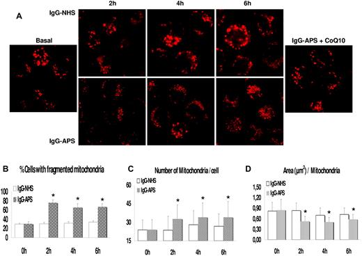Figure 7. IgG-APS–induced mitochondrial fragmentation. (A) Monocytes were plated in glass-bottomed Petri dishes in phenol red-free RPMI 1640, pretreated for 15 minutes with 50nM MitoTracker Red (excitation 581 nm/emission 644 nm), and then incubated for 6 hours with NHS-IgG or APS-IgG at 37°C in a humidified 5% carbon dioxide atmosphere. Cells were imaged in vivo at 1-hour intervals by confocal microscopy under exactly identical instrument settings for all stimuli. Samples were viewed with an EC Plan-Apochromal 63×/1.40 numerical aperture oil objective. Fragmented mitochondria were prevalent after 2 hours of APS-IgG treatment. CoQ10 pretreatment prevented mitochondrial fission and restored the mitochondrial size found in untreated or IgG-NHS–treated monocytes. (B) Percentage of cells with fragmented mitochondria at each time point is shown. (C-D) Analysis of mitochondrial morphologies by computer-assisted morphometric analyses that calculated the number of mitochondria per cell and their area. Asterisks (*) indicate significant differences (at P < .05) versus IgG-NHS–treated cells.