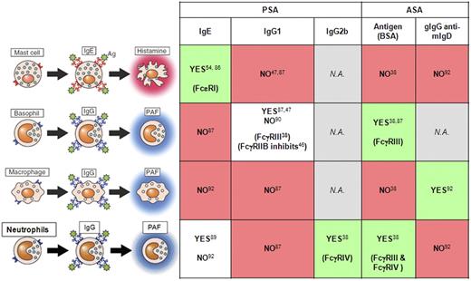 Figure 3. Contribution of each pathway in the respective anaphylaxis model. A pathway is represented by a cell type, the antibody class, and the mediator released. Contribution (Yes, green box) or no contribution (No, red box) to a particular anaphylaxis model is indicated. Contradictory results are indicated (white box). If identified, responsible FcRs are indicated between parentheses. N.A. indicates not analyzed. Corresponding references are provided. Adapted with permission from Mukai et al.102