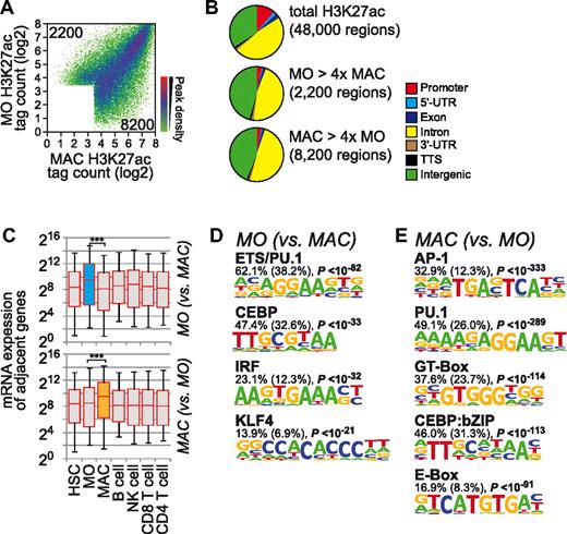 Figure 2. Global distribution of H3K27 acetylation during macrophage differentiation. (A) H3K27ac ChIP-seq tag counts for peak regions are compared between monocytes and macrophages in a density plot. The colors represent the relative density of peaks in each location within the density plot. (B) Genomic distribution of total and cell stage–specific (at least 4-fold different) H3K27ac marked regions relative to RefSeq genes. (C) Box plots show the distribution of mRNA expression levels (HSC, CD34+ HSCs; MO, monocytes; MAC, macrophages; and lymphoid cell types as indicated) for RefSeq genes adjacent to differentiation stage-specific H3K27ac peak regions, as described in Figure 1. Significance of pairwise comparisons of mRNA expression levels for the indicated cell types are indicated (***P < .001 by Student t test, paired, 2-sided). (D-E) De novo–extracted sequence motifs associated with differentiation stage–specific H3K27ac peak regions. Motifs were assigned to transcription factors or transcription factor families based on similarity with known motif matrices. In addition, the fraction of H3K27ac regions (1 kb) containing at least 1 motif instance, the expected frequency of the motif in random sequences (in parentheses), and P values (hypergeometric) for the overrepresentation of each motif are given.