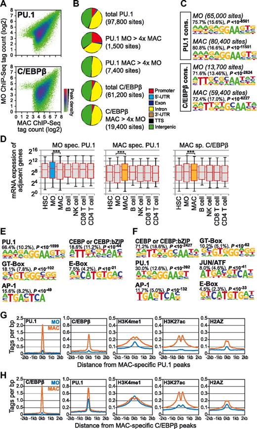 Figure 4. Dynamics of PU.1 and C/EBPβ binding during monocyte-to-macrophage differentiation. (A) ChIP-seq tag counts of each of the indicated transcription factors are compared for peak regions between monocytes (MO) and macrophages (MAC) in a density plot as described in the legend to Figure 1. (B) Pie charts depicting the genomic distribution of total transcription factor–bound sites or differentially bound regions (defined as having at least a 4-fold tag count difference in peak regions). For C/EBPβ, only a small fraction of monocyte-specific peaks were detected and are not included. (C) De novo–extracted consensus motifs for PU.1 and C/EBPβ bound sites. Motifs were assigned to transcription factors or transcription factor families based on similarity with known motif matrices. In addition, the fraction of transcription factor–bound regions containing at least 1 motif instance, the expected frequency of the motif in random sequences (in parentheses), and P values (hypergeometric) for the overrepresentation of each motif are given. (D) Box plots showing the distribution of mRNA expression levels for genes adjacent to differentiation stage-specific transcription factor peak regions as described in the legend to Figure 1. (E) De novo–extracted sequence motifs associated with macrophage-specific promoter-distal (according to RefSeq annotation) PU.1 peak regions. Motifs were assigned to transcription factors or transcription factor families based on similarity with known motif matrices. In addition, the fraction of PU.1-bound regions (200 bp) containing at least 1 motif instance, the expected frequency of the motif in random sequences (in parentheses), and P values (hypergeometric) for the overrepresentation of each motif are given. (F) Corresponding data for macrophage-specific C/EBPβ-bound regions are shown. (G) Histograms for genomic distance distributions of monocytes (MO) and macrophage (MAC) PU.1, C/EBPβ, H3K4me1, H3K27ac, and H2AZ tag counts centered across macrophage-specific PU.1-bound sites across a 4-kb genomic region. (H) Corresponding data for macrophage-specific C/EBPβ-bound regions.