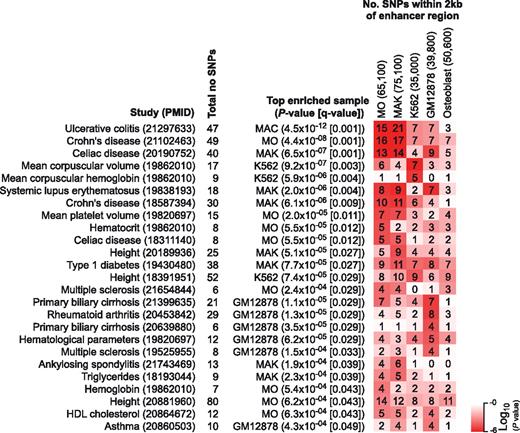Figure 7. Enhancer signatures and disease-associated genetic variants. Overlap of H3K4me1 and/or H3K27ac-marked promoter-distal regions (± 3 kb from RefSeq-annotated TSS) with disease-associated sequence variants (SNPs) from the GWAS catalog.17 Only studies that identified at least 5 SNPs were included in the analysis and shown are all studies with a false discovery rate < 5%. P values for enrichment are presented as a heat map where red indicates significance values. Numbers of total enhancer regions for each cell type are given in brackets above the heat map.