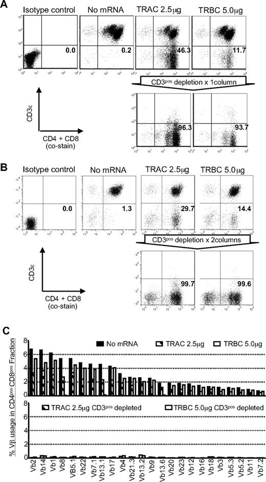 Figure 3. TCRneg T cells can be enriched by depletion of CD3ϵ+ T cells. (A) CD3 expression before and after depletion using CD3-specific paramagnetic beads. Flow cytometry reveals expression of CD3ϵ in CD4+ and CD8+ T cells 15 days after stimulation by OKT3-loaded aAPC (9 days after ZFN transfection). Numbers in the bottom-right quadrant represent the percentage of CD3ϵneg T cells. Representative results using in vitro numerically expanded T cells. (B) CD3ϵneg T cells can be further enriched by additional round of depletion with CD3-specific paramagnetic beads. Flow cytometry revealing expression of CD3ϵ in CD4+ and CD8+ T cells after 2 rounds of depletion of CD3ϵpos T cells. Numbers in the lower right quadrant represents the percentage of CD3ϵ negative cells in CD4+ and CD8+ T-cell populations. (C) Vβ repertoire analysis in T cells modified with ZFNs. The Vβ usage clonogram was analyzed by a panel of TCR-specific mAbs, costained with CD4 and CD8. Percentage of specific Vβ+ T-cell fractions within CD4 and CD8 gating is shown. The nomenclatures of Vβ repertoire shown are based on Arden et al.50 Representative data from 3 independent experiments are shown.