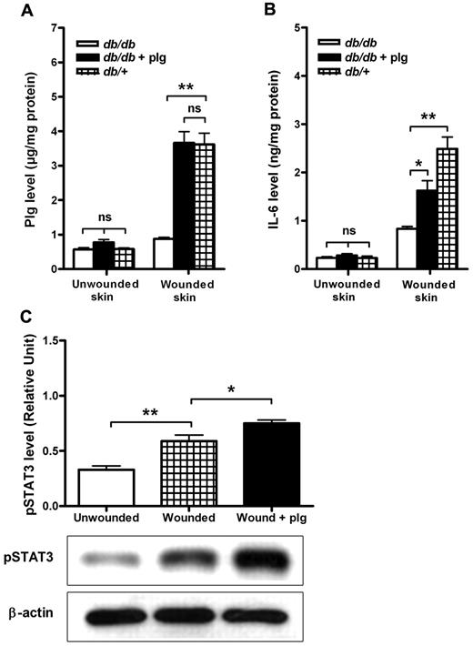 Figure 6. Effect of plg treatment on IL-6 expression and STAT3 activation in db/db mice. (A) Comparison of plg levels in the unwounded and wounded areas in db/db mice (n = 8), db/db mice treated with plg (n = 4), and db/+ mice (n = 4). (B) Comparison of the IL-6 levels of db/db mice (n = 8), db/db mice treated with plg (n = 8), and db/+ mice (n = 10). (C) Western blot analysis of the pSTAT3 levels in the skin lysates from unwounded db/db mice, wounded db/db mice, and wounded db/db mice treated with plg (n = 4). β-actin served as a loading control. The level of pSTAT3 was quantified using ImageJ Version 1.41o software. Values are expressed as the intensity of pSTAT3 divided by the intensity of total STAT3. ns indicates not significant. *P < .05; **P < .01.