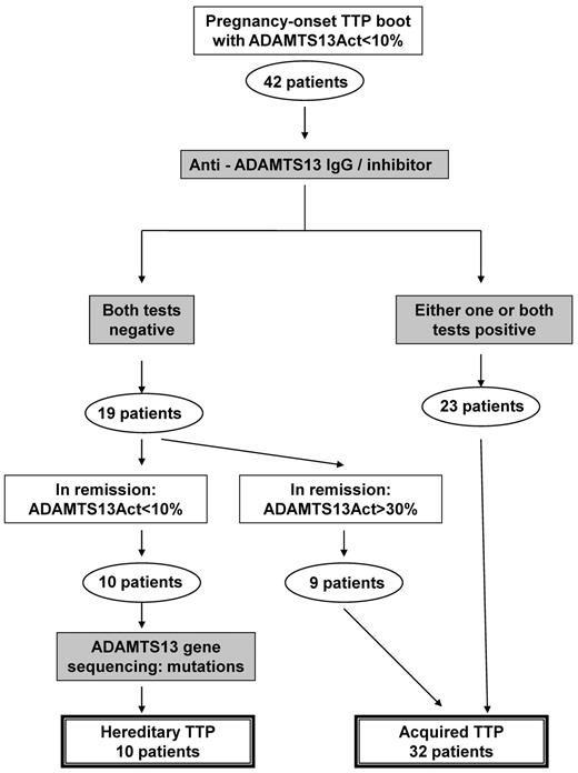 Figure 2. Flowchart for the differential diagnosis between hereditary and acquired TTP. Differential diagnosis between the inherited form (USS) and the acquired form of TTP was performed using the following flowchart. By definition, all enrolled patients exhibited an ADAMTS13 activity < 10% at inclusion. During the TTP boot, 23 patients had autoantibodies to ADAMTS13 (acquired TTP), whereas 19 patients had neither anti-ADAMTS13 IgG nor inhibitor (no differential diagnosis between inherited and acquired TTP). Among these 19 patients, 9 recovered a detectable ADAMTS13 activity (> 30%) in clinical remission, allowing the retrospective diagnosis of acquired TTP. In contrast, 10 patients still exhibited an ADAMTS13 activity < 10% in remission with no autoantibody against ADAMTS13, and ADAMTS13 gene sequencing confirmed the diagnosis of USS. Our cohort of 42 obstetrical-onset TTP patients included 10 USS and 32 acquired TTP patients.