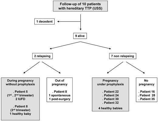 Figure 5. Follow-up of the 10 USS patients. The 10 USS patients benefited from a follow-up (7 subsequent pregnancies). Patient 21 died of a cerebral tumor during the follow-up. Two patients relapsed either after the pregnancy (patient 8) or during subsequent pregnancies led without prophylaxis (patient 5 and 8). Seven patients did not relapse, including 4 patients who had another pregnancy under prophylaxis, allowing favorable maternal and baby outcomes.