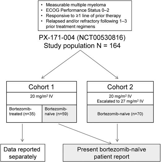 Figure 1. PX-171-004 study scheme.