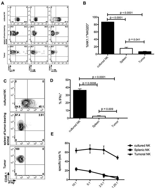Figure 4. Tumor-infiltrating NK cells down-regulate activating receptors and show impaired effector functions. (A) Purified CD3−DX5+ or CD3−NK1.1+ NK cells from CD45.1+ congenic donors were transferred into CD45.2+ recipients. All analyses are gated on live singlet lymphocytes. Within the spleen and tumor of tumor-bearing mice (rows 2 and 3), transferred CD45.1+ NK cells down-regulated NK1.1, NKG2D, and DX5 compared with ex vivo expanded CD45.2+ NK cells (top row). (B) Statistical comparison of events in panel A, showing marked loss of activating receptors on intratumoral NK cells compared with cultured and splenic NK cells; ANOVA with the Dunnett multiple comparison test. (C) IFNγ production is diminished within reisolated NK cells. Gating is based on nonstimulated controls (not shown). (D) Statistical comparison of events in panel C, showing loss of cytokine production on intratumoral NK cells compared with cultured or splenic NK cells; ANOVA with Dunnett multiple comparison test. (E) CD45.1+ cells were sorted from spleen or tumor and assessed for cytotoxicity against chromium-labeled A20 cells. Analyses are gated on reisolated CD45.1+ or control CD45.2+ live NK cells. Results are representative of at least 3 (A-D) or 2 (E) independent experiments with at least 3 mice per group.