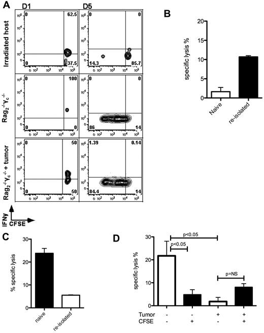 Figure 6. NK-cell dysfunction is induced by homeostatic proliferation. (A) IFNγ production in restimulated NK cells reisolated 1 or 5 days after in vivo transfer with or without disseminated tumor; gates were set using nonstimulated controls (not shown). Injection into Rag2−/−γc−/− recipients in addition to irradiated recipients was performed to account for the effects of radiation. (B) Killing of chromium-labeled A20 cells by freshly isolated naive NK cells or C57BL/6 CD45.1+ NK reisolated 18 hours after transfer into irradiated hosts bearing Hoxa9-Meis1 leukemia, and cultured with A20 tumor cells at a 1:1 ratio for 16 hours. Control cells were sorted CD3−NK1.1+ NK cells from naive spleens; P = .0035 (2-tailed unpaired Student t test). (C) Killing of chromium-labeled A20 cells by freshly isolated naive NK cells or C57BL/6 CD45.1+ NK reisolated 17 days after transfer into irradiated hosts bearing Hoxa9-Meis1 leukemia, and cultured with A20 tumor cells indicated ratios for 16 hours. Control cells were sorted CD3−NK1.1+ NK cells from naive spleens; P = .001 for difference between naive and reisolated NK cells at a 6:1 ET ratio. (D) CFSE-labeled C57BL6 NK cells were injected into Rag2−/−γc−/− recipients alone or with 5 × 106 A20 tumor cells and sorted into CFSE high (unproliferated) or CFSE low (proliferated) populations; these cells were then cultured with chromium-labeled A20 cells for 12 hours at an effector:target ratio of 2:1; ANOVA with the Dunnett multiple comparison test. Results are representative of 2 to 3 experiments with 3 to 4 mice pooled per experiment.