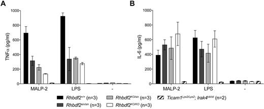 Figure 2. Mutant alleles of Rhbdf2 are noncomplementary and cause a specific block in TNFα secretion. Thioglycollate-elicited peritoneal cells were isolated from mice of the indicated genotypes, and cultured in the presence of 200 pg/mL MALP-2, 1 ng/mL LPS, or media alone (-) for 4 hours. TNFα (A) and IL-6 (B) was then measured in the culture supernatant.