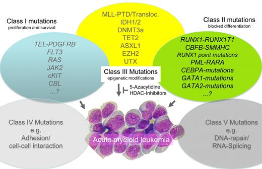 Molecular pathogenesis of AML.