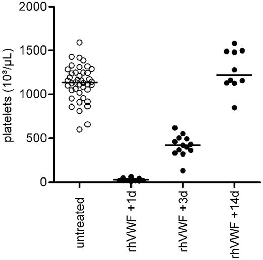 Figure 1. Reversible thrombocytopenia in rhVWF-challenged ADAMTS13 KO mice. Animals were administered 2000 VWF:RCoU/kg BW of rhVWF (●), and platelet counts were determined after 1, 3, and 14 days. A severe thrombocytopenia was noted on day 1 after the challenge. Thrombocytopenia persisted on day 3 but subsided by day 14 compared with untreated ADAMTS13 KO mice (○).