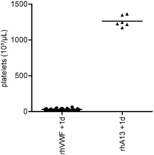 Figure 4. Prophylactic efficacy of rhADAMTS13. Before the challenge with 2000 VWF:RCoU/kg BW of rhVWF, one group of animals received 200 FRETS-U/kg BW rhADAMTS13 (rhA13 + rhVWF), whereas the control group received rhVWF only (rhVWF). Platelet counts were determined after 1 day. Whereas all animals of the control group developed a severe thrombocytopenia (●), animals prophylactically treated with rhADAMTS13 (▴) were protected.