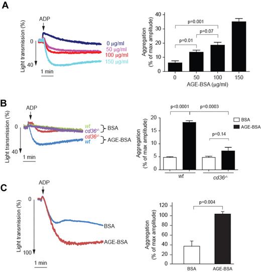 Figure 3. AGE-BSA enhances platelet aggregation in a CD36-dependent manner. (A) Platelets were incubated with increasing concentrations of AGE-BSA for 30 minutes and then assessed for aggregation in response to low-dose ADP (1μM). On the left are representative tracings from n = 6, and on the right a bar graph showing mean amplitudes of aggregation expressed as the percentage of light transmission using control PPP (± SEM). (B) Platelets from wt or cd36-null mice were incubated with 100 μg/mL of AGE-BSA or BSA and then analyzed as in panel A (n = 4). On the right is a bar graph showing mean amplitudes of aggregation (± SEM). (C) PRP obtained from healthy donors was preincubated with 50μM of AGE-BSA or BSA control for 30 minutes and then stimulated with 5μM ADP. The left panel shows representative tracings; the right panel is a bar graph showing the mean amplitudes of aggregation (± SEM) of 3 independent experiments.