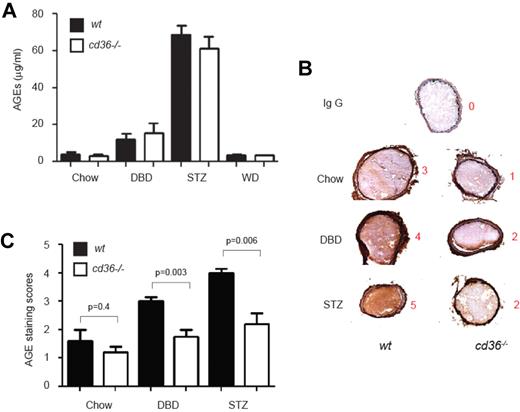 Figure 5. AGE levels are increased in plasma and within thrombi in diabetic mice. (A) Plasma concentrations of AGEs in diet and STZ-treated wt or cd36-null mice were measured by ELASA. Data are expressed as means ± SEM (n = 6-8 per group). (B) Carotid thrombi from wt or cd36-null mice induced as in Figure 3 were frozen, sectioned, and analyzed for the presence of AGEs by immunohistochemistry using anti-AGE IgG and a DAB+ substrate chromogen detection system. Brown color indicates immunoreactivity. Representative images are shown, and the red numbers indicate the intensity score of that image. (C) Mean AGE-staining scores (± SEM) of 5 sections from each thrombus (n = 5 per group).