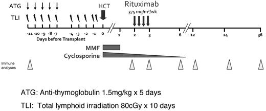 Figure 1. Trial schema. RIC using 80 cGy TLI for 10 days and ATG 1.5 mg/kg on days 1-5, followed by peripheral blood progenitor cell infusion on day 0. Rituximab infusion (375 mg/m2) was infused on days 56, 63, 70, 77. Cyclosporine and mycophenolate mofetil were used as primary GVHD prophylaxis. Triangles indicate time points for peripheral blood immune analyses.