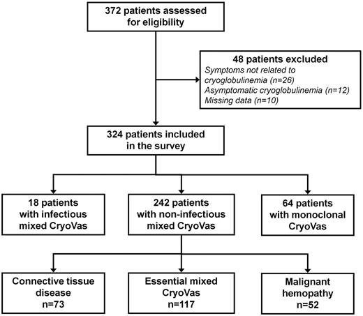 Figure 1. Flow chart of the CryoVas survey. Three hundred seventy-two patients were assessed for eligibility and 324 were finally included, including 242 patients with noninfectious MC vasculitis.