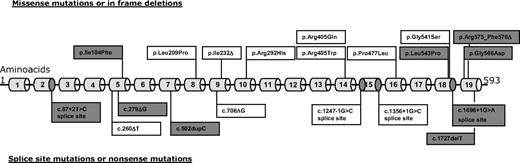 Figure 1. Spectrum of Munc18-2 mutations detected in our cohort. New mutations are shaded in gray. Three mutations were seen in ≥ 5 patients: 13 patients had mutations affecting one of the exon 15 splice sites, 7 patients from central Europe had p.Gly541Ser, and 5 patients of Arab origin had p.Pro477Leu. For details see Tables 1 and 2.