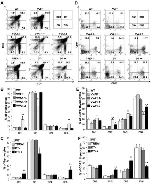 Figure 3. A1 knockdown impairs early T-cell development. Flow cytometric analysis of thymocytes was performed by staining single-cell suspensions derived from mice of the indicated genotypes with cell surface-marker specific antibodies recognizing CD4 or CD8, either alone or in combination with antibodies specific for CD25 and CD44 in subfractions, positive or negative for Venus or eGFP. (A) Representative dot blots of flow cytometric analysis of mice of the indicated genotypes using antibodies against CD4 or CD8. Numbers refer to percentages of quadrant analysis. (B-C) The percentages of CD4−CD8− DN, CD4+CD8+ DP, as well as CD4+CD8− and CD4−CD8+ SP thymocytes found in VVA1, DT, and relevant control mice. (D) Representative dot blots of flow cytometric analysis using antibodies against CD24 and CD44, gated on CD4−CD8− DN thymocytes. Numbers refer to percentages of quadrant analysis. (E-F) DN stages 1 to 4 (CD25−CD44+ DN1, CD25+CD44+ DN2, CD25+CD44− DN3, CD25−CD44− DN4) are quantified in VVA1, DT, and relevant control mice of the indicated genotypes. Data are mean ± SEM of n = 4 to 8 animals per genotype. ANOVA followed by Fisher PLSD posthoc test: *P ≤ .05, compared with WT or single-transgenic mice; **P ≤ .01, compared with WT or single-transgenic mice.