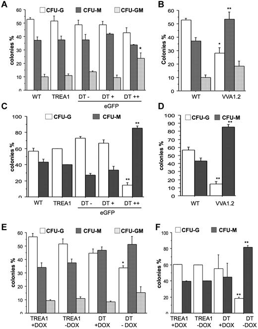 Figure 6. Reduced colony formation of myeloid progenitors on A1 knockdown. (A) A total of 2 × 104 cells derived from bone marrow from WT, TREA1, or DT mice, sorted into eGFP−, eGFP+, and eGFP++ fractions, or (B) WT and VVA1.2 mice were plated in Methocult medium in the presence of G-CSF, IL-6, and IL-3. (C-D) Alternatively, cytokines were added after a 24-hour delay. Colonies were counted blinded after 7 days of incubation. Data are mean ± SE of 3 independent experiments performed in duplicates. (E) Bone marrow cells were isolated from single-transgenic TREA1 or DT mice that had been treated for 32 days with doxycycline in the drinking water. Cells were isolated and seeded into cytokine-complemented Methocult medium in the absence or presence of doxycycline. (F) Alternatively, cytokines were added after 24-hour delay. Colonies were counted in duplicate cultures blinded after 7 days of incubation. Data are mean ± SD of 2 or 3 mice per genotype. ANOVA followed by Fisher PLSD posthoc test: *P ≤ .05, compared with WT or single-transgenic controls; and **P ≤ .01, compared with WT or single-transgenic controls.