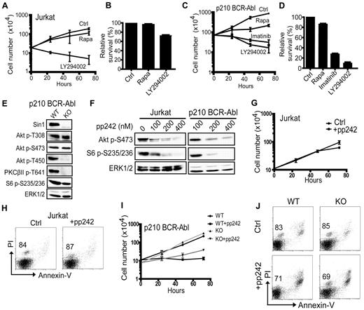 Figure 1. The role of mTOR in leukemia-cell proliferation and survival. (A) Jurkat cells were cultured with vehicle (Ctrl) only or with 100nM rapamycin (Rapa) or 25μM LY294002 as indicated. The total number of live cells at 0, 24, 48, and 72 hours was determined by a trypan blue exclusion cell-viability assay. Each data point shown is the average of triplicate samples from 1 of 3 independent experiments. (B) Jurkat cells from panel A were stained with PI and analyzed by flow cytometry at 24 hours. The number of viable cells in each drug-treated group relative to the untreated control (Ctrl) group (set as 100%) is shown. The data presented are the average of triplicate samples with SD and are representative of 3 independent experiments. (C) Wild-type p210 BCR-Abl–transformed mouse pre-B leukemia cells were cultured with vehicle (Ctrl) or with 100nM rapamycin (Rapa), 10μM imatinib, or 25μM LY294002 for the indicated times. The total number of live cells at 0, 24, 48, and 72 hours was determined as described in panel A. Each data point shown is the average of triplicate samples from 1 of 3 independent experiments. (D) Cells in panel C were stained with PI and analyzed by flow cytometry at 24 hours. The number of live cells in the drug-treated groups relative to the control (Ctrl) group (100%) is shown. The data shown are the average of duplicate samples and are representative of 3 independent experiments. (E) Total cellular proteins from Sin1+/+ (wild-type; WT) or Sin1−/− (knockout; KO) p210 BCR-Abl leukemia cells were analyzed by immunoblotting for the indicated proteins and phosphoproteins. (F) Jurkat or Sin1+/+ p210 BCR-Abl pre-B cells were cultured with the indicated doses of pp242 for 18 hours and then analyzed by immunoblotting for the indicated proteins. (G) Jurkat cells were cultured with (+pp242) or without (Ctrl) 400nM pp242 for the indicated periods of time and live cells were counted by a trypan blue exclusion assay. Fresh cell-culture medium with or without pp242 was added to the cells every 24 hours. The data shown are the average of triplicate samples from 1 of 2 independent experiments. (H) Cells from panel G were stained with PI and annexin V and analyzed by flow cytometry at the 24-hour time point to determine cell viability. The percentage of live cells (annexin V−PI−) is indicated. (I) Sin1 WT and KO p210 BCR-Abl cells were cultured with (+pp242) or without 400nM pp242 for the indicated periods of time and live cells were counted by a trypan blue exclusion cell-viability assay. Fresh cell-culture medium with or without pp242 was added to the cells every 24 hours. The data shown are the average of triplicate samples from 1 of 3 independent experiments. (J) Sin1 WT and KO cells from panel I were stained with PI and annexin V and analyzed by flow cytometry at the 24-hour time point to determine cell viability. The percentage of live cells (annexin V−PI−) is indicated.