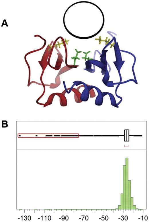 Figure 1. Identification of binding site and computational screening. (A) The PF4 antagonist binding pocket (black circle) is located on the surface of the PF4 dimer (red and blue ribbons) near residues Lys50 (yellow) and Glu28 (green). (B) Distribution of DOCK scores for potential PF4 antagonists; 109 compounds have scores more than 10 SD below the mean (red box).