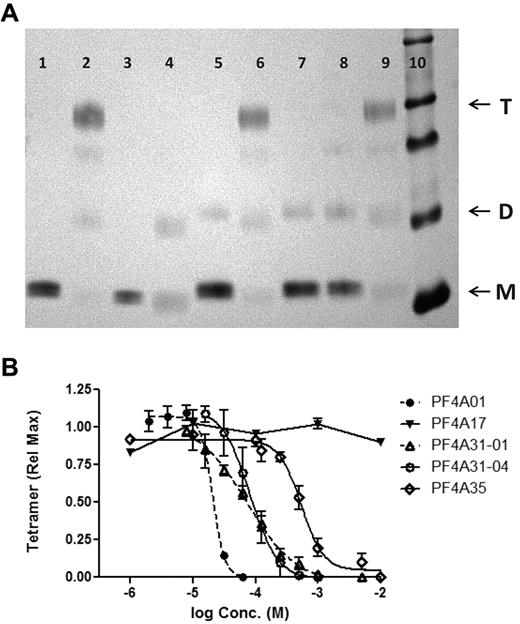 Figure 3. Inhibition of PF4 tetramerization. (A) SDS-PAGE of PF4 cross-linked with BS3 (or uncross-linked controls) with or without antagonists (lane 1, WT-PF4; lane 2, WT-PF4 cross-linked; lane 3, PF4K50E; lane 4, PF4K50E cross-linked; lanes 5-9, WT-PF4 cross-linked in the presence of antagonist: lane 5, 250μM PF4A01; lane 6, 500μM PF4A17; lane 7, 250μM PF4A31-01; lane 8, 250μM PF4A31-04; lane 9, 500μM PF4A35; lane 10, molecular mass markers). Arrows denote PF4 monomers (M), dimers (D), and tetramers (T). (B) Dose-response inhibition of PF4 tetramer formation by antagonists. Data are the mean ± SEM of at least 3 independent experiments. Curves represent fit of data to the indirect Hill equation.