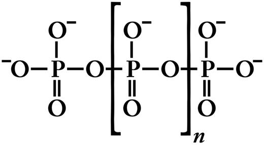 Figure 1. Structure of inorganic polyP. Inorganic polyphosphate (polyP) is a linear, highly anionic polymer of phosphates held together by high-energy phosphoanhydride bonds. Platelet polyP is approximately 60 to 100 phosphate units long,8,25,27 whereas microbial polyP can range up to thousands of phosphate units long.3,114