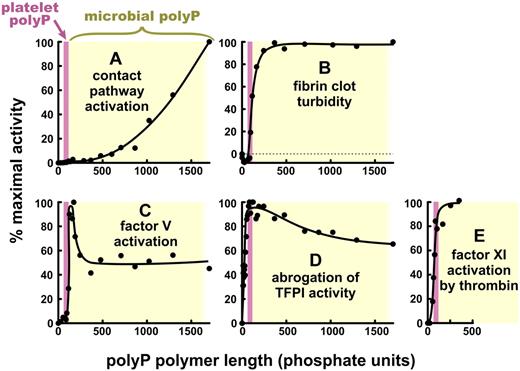 Figure 3. The various effects of PolyP on blood clotting are strikingly dependent on polymer length. Specific activities of polyP are plotted versus polyP polymer lengths, normalized in each case to 100% maximal activity. The data are replotted from Smith et al27 (but on linear axes) for: (A) triggering of plasma clotting via the contact pathway, (B) modulating fibrin clot turbidity, (C) accelerating factor V activation, and (D) abrogating TFPI anticoagulant function; and from Choi et al29 for (E) promoting factor XI back-activation by thrombin. (E) polyP longer than 350 mers was not tested. In each panel, the pink bar represents the approximate size of polyP secreted from activated human platelets (∼ 60 to ∼ 100 mers),8,25,27 and yellow rectangle, the approximate size of microbial polyphosphate (ranging from < 100 mers to > 1500 mers).27