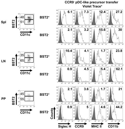 Figure 5. CCR9− pDC-like precursors acquire a cDC-like phenotype 48 hours after transfer. Analysis of BST2 and CD11c expression in Violet trace+ cells in spleen, lymph nodes, and Peyer patches 48 hours after transfer of CCR9− pDC-like precursors by flow cytometry (dot blots on the left, numbers indicate percentages of BST2high and BST2low cells). Analysis of Siglec-H, CCR9, MHCII, and CD11b expression (right panel, histograms) in the BST2high and BST2low fractions of Violet trace+CD11c+ cells 48 hours after transfer of CCR9− pDC-like precursors in spleen, lymph nodes, and Peyer patches (open histograms). Filled histograms indicate unstained control. Numbers in histograms indicate mean fluorescence intensity (MFI). Results of 1 representative of 3 experiments are shown.