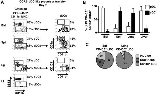 Figure 6. Tissue-specific generation of pDCs or cDC subpopulations on day 7 after transfer. (A) CD45.2+CCR9− pDC-like precursors were transferred into CD45.1+ steady-state mice intravenously and progeny were analyzed 7 days later by flow cytometry for the expression of BST2, CD11b, CD8α, and CD103 in BM, spleen, lung, and liver. Results of one representative of 3 experiments are shown. (B) The percentages of BST2+ pDCs and BST2− cDCs within CD45.2+CD11c+MHCII+PI− cells derived from transferred CCR9− pDC-like precursors after 7 days in BM, spleen, lung, and liver (mean ± SD, n = 3). (C) cDC subset compositions (CD8α+CD11b− cDCs, CD8α−CD11b+ cDCs, and double negative cDCs) in spleen and lung originating from CD45.2+CCR9− pDC-like precursors 7 days after transfer are depicted (mean, n = 3).