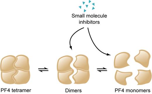 Sachais et al describe small molecule inhibitors that dock to platelet factor 4 (PF4) at sites that are critical for multimerization and, at micromolar concentrations, promote dissociation of PF4 tetramers into dimers and monomers. If these agents act similarly in vivo, they could provide a means of preventing and disrupting the immune complexes that are central to heparin-induced thrombocytopenia (HIT) pathogenesis. Professional illustration by Kenneth X. Probst.