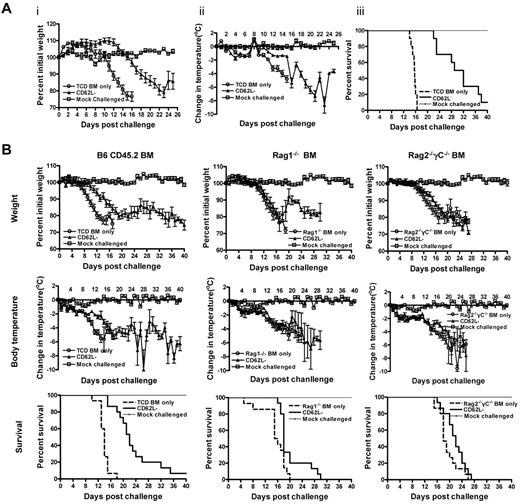 Figure 2. CD62L− T cells enhance the ability of TCD BM recipients to counteract the effects of viral infection in vivo. Bone marrow cells (1 × 107) from different sources and CD62L− T cells (1 × 106) from unprimed B6 CD45.1 mice were transplanted into lethally irradiated BALB/c recipients. The recipient mice were challenged with influenza virus at day 7 after transplantation. Body weight and body temperature were monitored daily in all recipients. Each group contained 10 (A) or 15 (B) mice. A group of normal BALB/c mice (n = 5) was included as mock-challenged control for each experiment. (A) TCD BM was from B6 CD45.2 mice. CD62L− versus TCD BM only (P < .0001); TCD BM only versus mock-challenged (P < .001). (B) Bone marrow used included TCD BM cells from B6 CD45.2 mice or whole marrow from Rag1−/− B6 or Rag2−/−γC−/− B6 mice. For survival, BM only versus their corresponding CD62L− groups except for Rag2−/−γC−/− (P < .01); TCD BM only verus Rag1−/− BM only or Rag2−/−γC−/− BM only (P < .01); P = NS in all other comparisons.