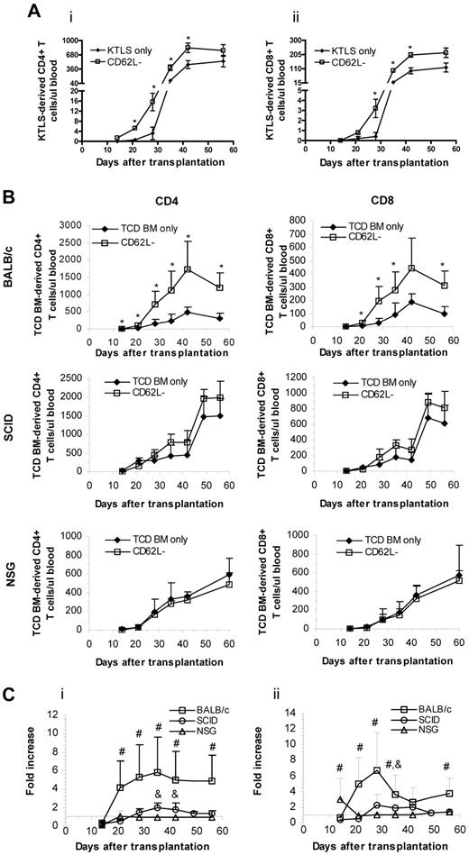 Figure 4. CD62L− T cells enhance stem cell–mediated T-cell regeneration. (A) Purified hematopoietic stem cells (KTLS, 5 × 103) from B6 CD45.1 mice and CD62L− T cells (1 × 106) from B6 CD45.2 mice were transplanted into lethally irradiated BALB/c recipients. T-cell reconstitution was monitored at different times in peripheral blood by flow cytometry. Data represent absolute counts in peripheral blood (mean ± SD/μL blood). Each group contained 5 mice (*P < .05 between groups). (i) CD4+ T cells. (ii) CD8+ T cells. KTLS indicates c-Kit+Thy1.1lowLin−/lowSca-1+ hematopoietic stem cells. (B-C) TCD BM cells (1 × 107) from B6 CD45.2 mice and CD62L− T cells (1 × 106) from B6 CD45.1 mice were transplanted into irradiated BALB/c or SCID or NSG recipients. T-cell reconstitution was monitored in peripheral blood at different times after transplantation by flow cytometry. Data represent absolute counts in peripheral blood (mean + SD/μL blood). Each group contained 5 to 10 animals. The data were pooled from 2 independent experiments. Fold increase of peripheral T-cell counts in CD62L− T-cell recipients over TCD BM only control is shown in C (*P < .05, TCD BM only vs CD62L−; #P < .05, BALC/c vs SCID or NSG; &P < .05, SCID vs NSG).