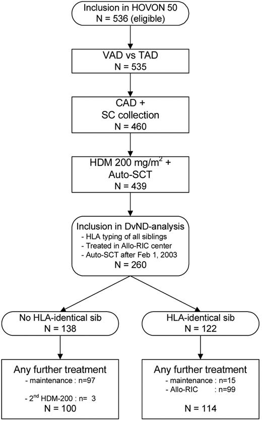 Figure 1. Design of the study and patient flow.