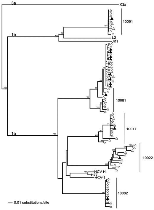 Figure 4. Phylogenetic reconstruction of HCV E1/E2 region sequences from 5 plasma donors (10081, 10051, 10082, 10017, and 10022) and a chimpanzee (X355) infused with a pool of 50 mL of plasma from each of the donors. ▴ indicates population sequences corresponding to the first hypervariable region (HVR-1) of E1/E2 (404nt) for donors and the chimp; and ▵, cloned sequences. Samples from 2 time points 19 days apart were obtained from the chimpanzee. The first time point sequences are indicated with c and the second time point sequences by C. Viral sequences in the chimp are shown to be closely related to donor 10081. Reference sequences from genotypes 1a (HCV-H, H77, and HCV-1), 1b (L2, JK1), and 3a (K3a) were included. The maximum likelihood tree was rooted with the 3a reference sequence. Bootstrap values > 70% are indicated.