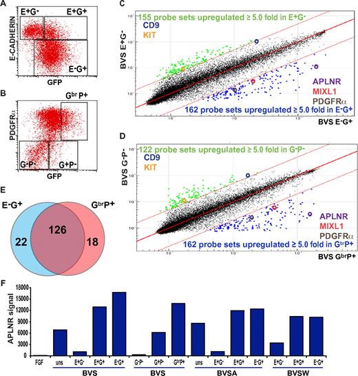 Figure 1. APLNR expression during mesoderm induction. Flow cytometric analysis of (A) E-CADHERIN and GFP and (B) PDGFRα and GFP expression in MIXL1GFP/w EBs differentiated in medium supplemented with mesodermal-inducing growth factors (BVS). Regions used to sort cells into fractions for further analysis are shown. Comparison of transcriptional profiles of sorted (C) E-CAD+GFP− (E+G−) versus E-CAD−GFP+ (E−G+) cells and (D) GFP−PDGFRα− (G−P−) versus GFPbrPDGFRα+ (GbrP+) cell fractions. Colored dots indicate probes with expression differing by ≥ 5.0-fold from the mean. Several key genes present in each cell population are highlighted. (E) Venn diagram displaying the overlap of genes up-regulated in E−G+ and GbrP+ sorted populations. (F) Relative signal intensities from 4 independent microarray analyses indicating the enrichment of APLNR expression in E−G+, E+G+, G+P+, and GhiP+ nascent mesodermal populations from BVS-, BVSA-, and BVSW-treated EBs (growth factor concentrations provided in “Cell culture and differentiation” and supplemental Figure 1). Samples differentiated under neurectodermal conditions in FGF2 (FGF) served as a negative control for mesoderm differentiation. uns indicates unsorted.