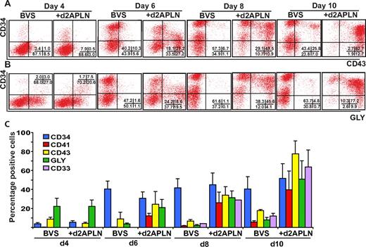 Figure 5. APLN increases expression of hematopoietic markers during hESC differentiation. (A-B) Flow cytometry time-course analysis of CD34, CD43, and GLYCOPHORIN A (GLY) expression on hESCs differentiated in APEL medium supplemented with BVS or BVS with APLN added from day 2. The percentage of cells in each quadrant is shown in the bottom right of each panel. (C) Histogram showing the mean percentage of cells expressing the indicated markers. Error bars represent SEM of 3 independent experiments. Inclusion of APLN resulted in an increased percentage of CD41 (P < .05), CD43 (P < .001), GLYCOPHORIN A (P < .002), and CD33 (P < .05) expressing cells from day 6 of differentiation. Statistical analysis used a 2-way ANOVA with Bonferroni posttest. Detailed FACS plots for all the markers are provided in supplemental Figure 8.