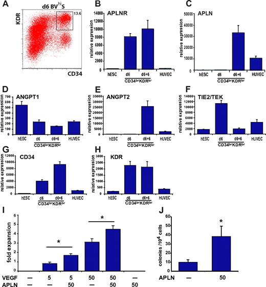 Figure 7. APLN enhances the growth of endothelial and hematopoietic cells from CD34brKDRbr progenitors. (A) Flow cytometric analysis of KDR and CD34 expression in day 6 EBs differentiated under endothelium-inducing growth conditions (BVhiS). The CD34brKDRbr sorted cell population is indicated by the boxed area. (B-H) Microarray expression data for the indicated genes in undifferentiated hESC cells (hESC), day 6 CD34brKDRbr sorted progenitor cells (d6), CD34brKDRbr cells cultured in vitro for an additional 6 days (d6 + 6), and HUVEC cells. (I) Histogram showing the fold expansion after culturing 1.5 × 104 sorted day 6 CD34brKDRbr cells for 8 days in medium supplemented with the indicated concentrations (ng/mL) of VEGF and APLN. Error bars represent SEM for n = 5 independent experiments. *P < .0005 for VEGF/APLN vs VEGF. (J) Histogram showing the mean frequency of hematopoietic colony-forming cells in methylcellulose cultures seeded with day 6 sorted CD34brKDRbr progenitor cells, cultured with VEGF, SCF, and EPO in the presence or absence of 50 ng/mL APLN. Error bars represent SEM for n = 6 independent experiments. *P < .03 for APLN addition.
