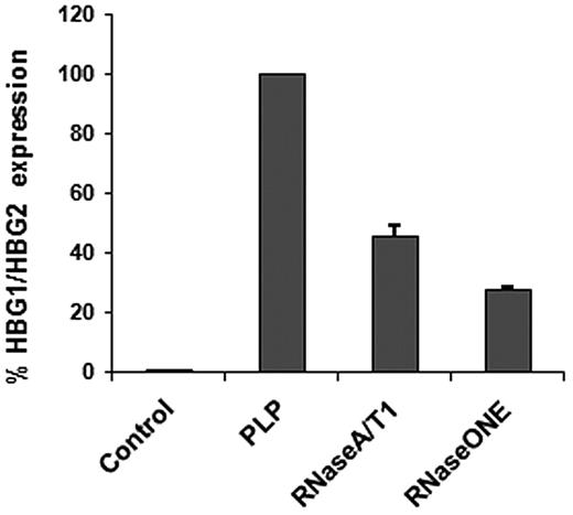 Figure 3. THP-1 HBG1/HBG2 expression after PLP RNase treatment. Cells cocultured for 24 hours with RNase-treated PLPs expressed less HBG1/HBG2 (RNaseA/T1 and RNase ONE) compared with the untreated PLP coculture (PLP). HBG1/HBG2, normalized against GAPDH, was absent in the control, THP-1 cells treated with 1 μg/mL PAM and 100 ng/mL TPO.