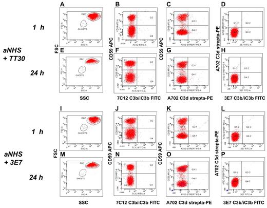 Figure 3. TT30 inhibits C3 fragment deposition on PNH RBCs in the EASA. (A-H) aNHS + TT30 3μM. (A-D) C3b/iC3b and C3d deposition at 1 hour. (E-H) C3b/iC3b and C3d deposition at 24 hours. (A-E) forward scatter (y-axis) versus side scatter (SSC). (B-F) CD59 APC (y-axis) versus C3b/iC3b FITC (x-axis; mAb 7C12). (C-G) CD59 APC (y-axis) versus C3d biotinylated-streptavidin PE (x-axis; mAb A702); (D-H) C3d biotinylated-streptavidin PE (y-axis) versus C3b/iC3b FITC (x-axis; mAb 3E7). Red and blue dots represent intact RBCs and RBC ghosts, respectively, as gated based on physical parameters (panels A-E). (I-P) aNHS +3E7 2μM. (I-L) C3b/iC3b and C3d deposition at 1 hour. (M-P) C3b/iC3b and C3d deposition at 24 hours. (I-M) forward scatter (y-axis) versus SSC. (J-N) CD59 APC (y-axis) versus C3b/iC3b FITC (x-axis; mAb 7C12). (K-O) CD59 APC (y-axis) versus C3d biotinylated-streptavidin PE (x-axis; mAb A702); (L-P) C3d biotinylated-streptavidin PE (y-axis) versus C3b/iC3b FITC (x-axis; mAb 3E7). Red and blue dots represent intact RBCs and RBC ghosts, respectively, as gated based on physical parameters (panels I-M).
