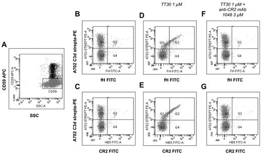 Figure 5. Detection of membrane-bound TT30 on PNH RBCs from an eculizumab-treated PNH patient. RBCs from a PNH patients on eculizumab were incubated 1 hour in aNHS with or without TT30 (± the anti-CR2 blocking mAb 1048); TT30 was detected by using either an anti-fH mAb (panels B,D,F,H) or an anti-CR2 mAb (C,E,G,I), both FITC-conjugated. The biotinylated anti-C3d mAb A702 was used to detect C3d (with APC-streptavidin); an APC-conjugated anti-CD59 was used to identify PNH RBCs. (A) Gating strategy on PNH RBCs. RBCs from an eculizumab-treated patient were used for this experiment; CD59 APC (y-axis) versus side scatter (SSC). PNH RBCs were identified by CD59 expression, and gated accordingly for further analysis of TT30 binding. (B-C) TT30 binding on fresh RBCs. Fresh PNH RBCs have a substantial C3d deposition, but do not show any cross-binding with the anti-fH or anti-CR2 mAb (B-C, respectively). C3d biotinylated-Streptavidin PE (y-axis; mAb A702) versus either fH or CR2-FITC (x-axis; B-C, respectively); analysis on CD59− RBCs (gate as shown in panel A). (D-E) TT30 binding after exposure in aNHS + TT30. After in vitro exposure to aNHS + TT30 3μM, TT30 can be detected on PNH (CD59−) RBCs by both the anti-fH (D) and the anti-CR2 (E). The saber-like pattern indicates the colocalization of C3d and TT30 on PNH RBC surface, with the most pronounced bound-TT30 detected on RBCs with the most abundant C3d deposition. C3d biotinylated-Streptavidin PE (y-axis; mAb A702) versus either fH or CR2-FITC (x-axis; D-E, respectively); analysis on CD59− RBCs (gate as shown in panel A). (F-G) TT30 binding after blocking by the anti-CR2 mAb 1048. Preincubation of TT30 with a 3-fold excess of the anti-CR2 mAb 1048 (TT30 1μM and mAb 1048 3μM) abrogates TT30 binding on PNH RBCs. C3d biotinylated-Streptavidin PE (y-axis; mAb A702) versus either fH or CR2-FITC (x-axis; F-G, respectively); analysis on CD59− RBCs (gate as shown in panel A).