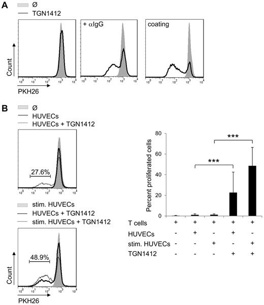 Figure 1. Endothelial cells confer TGN1412-mediated T-cell proliferation. (A) Freshly isolated and PKH26-labeled human T cells (2 × 105) per 96-well were stimulated with 1 μg/mL TGN1412 (solid line left panel) followed by cross-linking with 2 μg/mL anti-IgG mAb (solid line middle panel). Five μg/mL TGN1412 was coated on 96-wells and PKH26-labeled T cells were added (solid line right panel). Controls were left untreated (no TGN1412; gray-shaded curves). At day 5 of stimulation, PKH26-labeled T cells were harvested, stained with an anti-CD3 antibody, and T-cell proliferative responses were measured by flow cytometric analysis. Data shown are representative for experiments using T cells of at least 20 independent donors. (B) HUVECs (8 × 104) were irradiated and cultured either unstimulated or stimulated with 200 U/mL TNF-α + 100 U/mL IFN-γ for 3 days. After washing HUVECs with PBS, 1 × 106 freshly isolated and PKH26-labeled human T cells were added to HUVECs and stimulated with 1 μg/mL TGN1412. As controls, T cells were left untreated or were cocultivated with cytokine prestimulated HUVECs without TGN1412 (gray-shaded curves). At day 5 of cocultivation, PKH26-labeled T cells were harvested, stained with an anti-CD3 antibody, and T-cell proliferative responses were measured by flow cytometric analysis. Error bars indicate standard deviations from data obtained with T cells of 30 independent donors. The frequency of T-cell proliferation is shown as percentage of total T cells. The statistical analysis was performed with SAS/STAT Version 9.3 software (SAS System for Windows; ***P < .001).