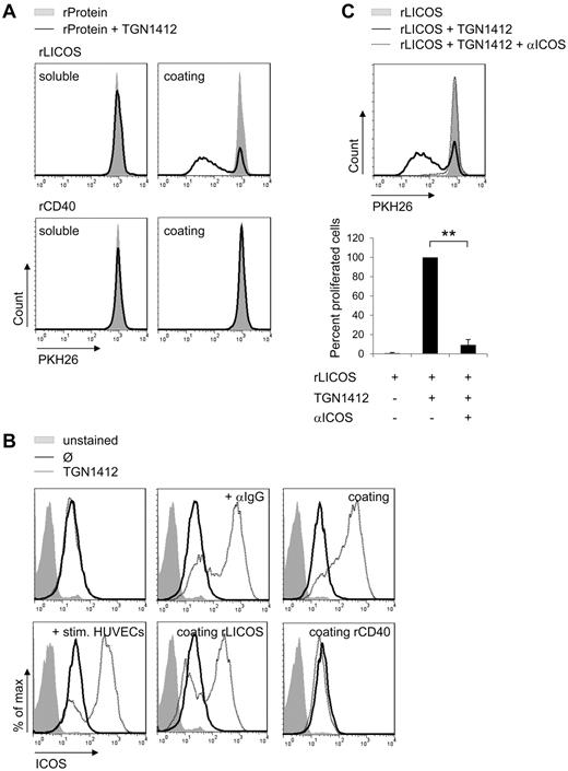 Figure 5. ICOS-LICOS interaction initiates ICOS up-regulation of TGN1412-treated T cells. (A) Freshly isolated and PKH26-labeled human T cells (2 × 105) per 96-well were stimulated with 3 μg/mL soluble recombinant LICOS protein (rLICOS) or 4 μg/mL soluble recombinant CD40 protein (rCD40; left panel). Alternatively, 5 μg/mL rLICOS or rCD40 were coated on 96-wells and 2 × 105 PKH-labeled T cells were added (right panel). Subsequently, PKH26-labeled T cells were stimulated with 1 μg/mL TGN1412 (solid lines). Controls were left unstimulated (gray-shaded curves). At day 5 of stimulation, PKH26-labeled T cells were harvested, stained with an anti-CD3 antibody, and T-cell proliferative responses were measured by flow cytometric analysis. Data shown are representative for at least 3 independent T-cell donors. (B) Freshly isolated human T cells (2 × 105) per 96-well were stimulated with 1 μg/mL TGN1412 followed by cross-linking with 2 μg/mL anti-IgG monoclonal antibody or 5 μg/mL TGN1412 were coated on 96-wells and T cells were added subsequently (top panel dotted lines). HUVECs (8 × 104) were irradiated and stimulated with 200 U/mL TNF-α + 100 U/mL IFN-γ for 3 days. After washing HUVECs with PBS, 1 × 106 freshly isolated and human T cells were added to HUVECs and stimulated with 1 μg/mL TGN1412. 5 μg/mL rLICOS or rCD40 were coated on 96-wells. Subsequently, T cells were added and stimulated with 1 μg/mL TGN1412 (bottom panel dotted lines). Controls were left unstained (gray-shaded curves) or were stained but not TGN1412-stimulated (solid lines). At day 5 of stimulation, T cells were harvested, stained with an anti-CD3 and anti-ICOS antibody, and ICOS expression on CD3+ T cells was measured by flow cytometric analysis. Data shown are representative for at least 3 independent T-cell donors. (C) Freshly isolated and PKH26-labeled human T cells (1 × 106) per 24-well were treated with 10 μg/mL anti-ICOS blocking antibody for 1 hour. Subsequently, these T cells were added to 24-wells coated with 5 μg/mL rLICOS protein and stimulated with 1 μg/mL TGN1412. Controls were left unstimulated (gray-shaded curves). At day 5 of stimulation, PKH26-labeled T cells were harvested, stained with an anti-CD3 antibody, and T-cell proliferative responses were measured by flow cytometric analysis. Error bars indicate standard deviations of data retrieved from experiments performed with T cells derived of 3 independent donors. The frequency of T-cell proliferation is shown as percentage of total T cells, normalized to the control (samples stimulated with TGN1412 but without blocking antibody). The statistical analysis was performed with SAS/STAT software (**P < .01).