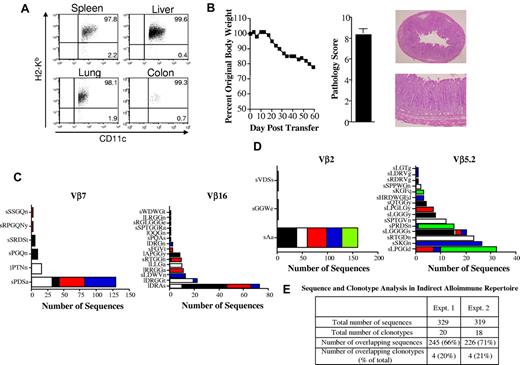 Figure 4. Dominant clonotypes are present in colitis mediated through the indirect alloreactive pathway. (A) Lethally irradiated (900 cGy) Balb/c Rag mice (n = 4) were transplanted with 10 × 106 BM cells from B6 Rag animals. Representative dot plot showing the percentage of CD11c+ cells that were donor-derived (H-2Kb+) in specified tissue sites 80 days after transplantation is shown. (B) Lethally irradiated Balb/c mice were transplanted with B6 BM and 0.4 × 106 spleen cells. Animals were then euthanized 24-25 days after transplantation. Spleen cells (adjusted to yield a T-cell dose of 0.5 × 106) were pooled from mice and infused intravenously into nonirradiated B6 Rag BM → Balb Rag chimeric mice that had been reconstituted 60-70 days earlier. Serial weight curve and pathologic damage in the colon (n = 9) using a semiquantitative scoring system is depicted. Data represent cumulative results from 2 experiments. Histology of colon from a representative animal shows extensive inflammation in the lamina propria and loss of mucin. Magnification is 20× for the top panel and 100× for the bottom panel. (C-D) Chimeric B6 Rag BM → Balb/c Rag mice were adoptively transferred with pooled spleen cells from primary GVHD B6 → Balb/c animals (n = 10). Mice were killed 60-70 days after transfer and TCRβ spectratype and clonotype analysis were performed on processed colon tissue. The name and number of CDR3 region amino acid sequences derived from dominant peaks in specified Vβ families is depicted. Colors in bar graphs represent individual mice. Panels C and D are results from 2 independent experiments with 4-5 animals per experiment. (E) Table denoting the total number of sequences and clonotypes derived from colons of mice in experiments detailed in panels C and D.