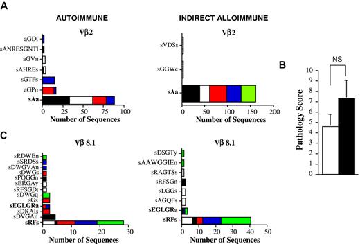 Figure 5. Donor T cells with identical TCRβ CDR3 nucleotide sequences can be identified in both autoimmune and indirect alloimmune repertoires. (A) Lethally irradiated Balb/c mice were transplanted with B6 BM and B6 spleen cells, and pooled spleen cells were then transferred by IV injection into B6 Rag animals. In a separate experiment, pooled spleen cells from acute GVHD mice were transferred into chimeric B6 Rag BM → Balb/c Rag mice. Vβ2 amino acid sequences derived from the colons of mice from both experiments are depicted. The amino acid sequence that was found in both cohorts of mice is shown in bold. (B) Lethally irradiated Balb/c mice (n = 10) were transplanted with B6 BM and B6 spleen cells. Pooled spleen cells from euthanized GVHD animals 26 days after transplantation were transferred by IV injection into either nonirradiated B6 Rag animals or B6 Rag BM → Balb/c Rag chimeric mice. Pathology scores for colon damage in B6 Rag and chimeric B6 Rag BM → Balb Rag mice (n = 5/group) are shown. NS indicates not significant. (C) Vβ8.1 amino acid sequences derived from the colons of mice. Amino acid sequences found in both cohorts of mice that received the same splenic T-cell inoculum are shown in bold.