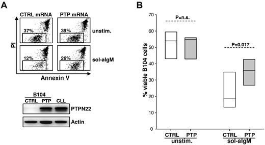 Figure 3. Enforced expression of PTPN22 in B104 cells blocks anti-IgM–induced apoptosis. (A) B104 cells were transfected with control (CTRL) or PTPN22 (PTP) mRNA, left in culture for 3 hours to achieve maximal PTPN22 protein expression, and then cultured for an additional 22 hours with or without soluble anti-IgM. The percentage of viable cells was determined by annexin V/PI staining and flow cytometry. One representative experiment of 6 is shown. Rectangle represents viable cells. Levels of PTPN22 protein 3 hours after transfection of PTPN22 mRNA are shown in the bottom panel. A CLL sample with high PTPN22 expression was loaded on the same gel for comparison. (B) Graph represents summary of data from the 6 independent experiments. Significance of difference in leukemic cell viability was evaluated with the paired t test.