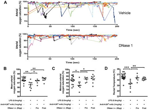 Figure 5. DNase 1 treatment improves blood oxygenation of mice with TRALI. (A) Examples of individual arterial blood oxygen saturation curves recorded in mice with TRALI. The mice received (top panel) intranasal vehicle buffer (n = 11 mice) or (bottom panel) intranasal DNase 1 (n = 11 mice) 10 minutes before anti–H-2Kd antibody injection. Mice that received DNase 1 showed more stable arterial blood oxygen saturation and improved transient hypoxia compared with the mice pretreated with the vehicle buffer. (B-C) Mean (B) and minimum (C) of the arterial oxygen saturation recorded for 20 minutes 2 hours after antibody infusion in control mice (n = 17), mice with TRALI (n = 9), mice with TRALI that have received DNase 1 as a pretreatment 10 minutes before antibody infusion (n = 7; Pre) or as a treatment 90 minutes after antibody infusion (n = 9; Post). Mice with TRALI received intranasally either the vehicle buffer or DNase 1. Bars represent medians. *P < .05. **P < .01. (D) Shock-like condition was determined by rectal temperature measurement in the mice monitored for arterial oxygen saturation and additional control mice (control group: n = 25). Bars represent medians. **P < .01. ***P < .005.